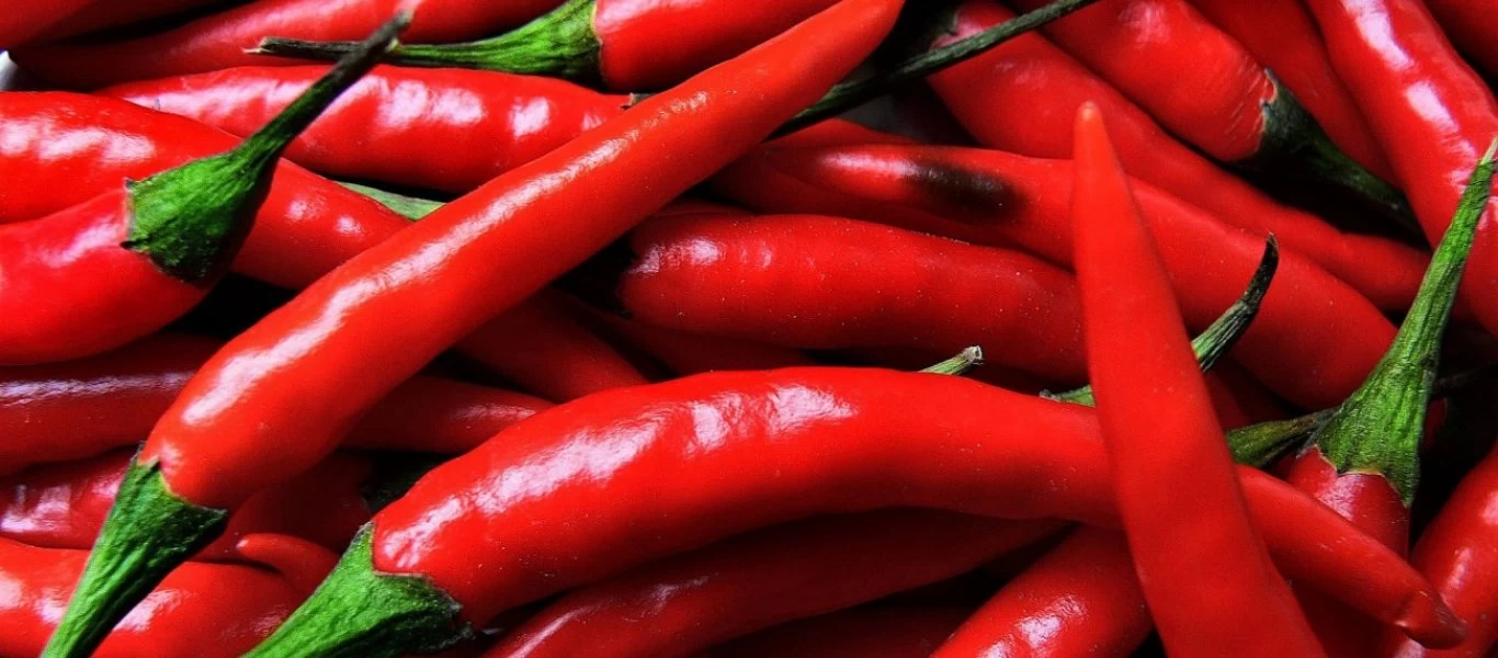 Θέλετε να χάσετε τα περιττά κιλά; - Αυτά είναι τα 8+1 φυσικά κατασταλτικά της όρεξης